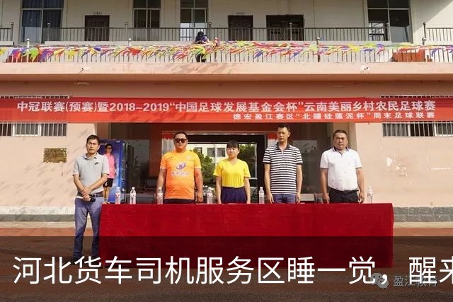 河北货车司机服务区睡一觉，醒来前轮气管被割断，这刀下去要的是命